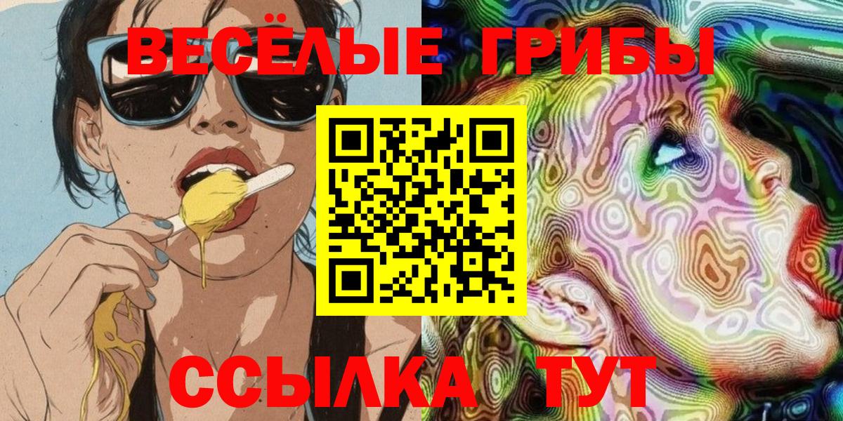 Тольятти  Галлюциногенные грибы Psilocybe  купить   Вход с VPN 