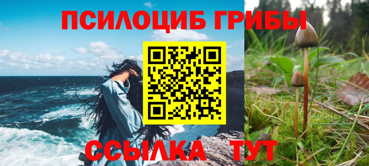 Псилоцибиновые грибы Psilocybine cubensis Тольятти